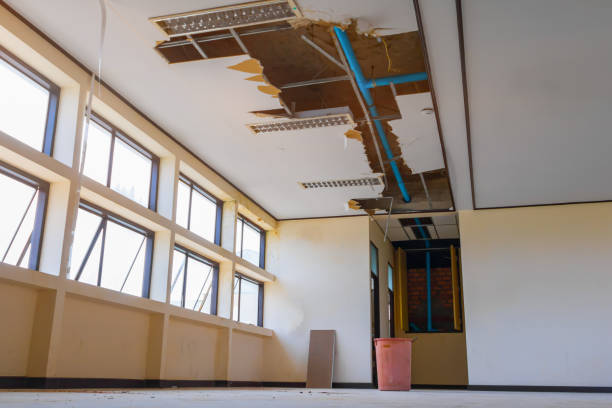 Best Residential water damage restoration  in Mcewen, TN