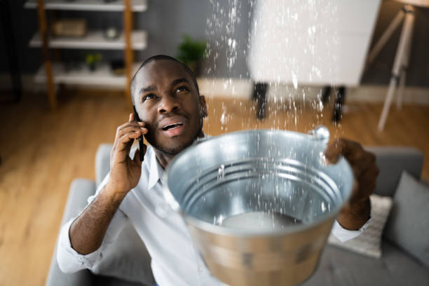 Professional Water damage restoration in Mcewen, TN