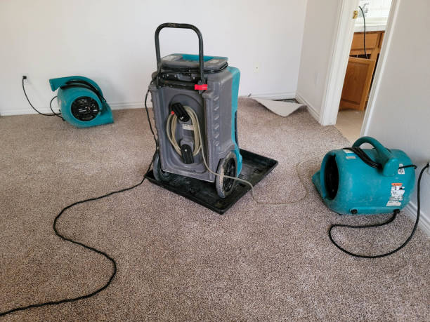 Best Ceiling water damage repair  in Mcewen, TN