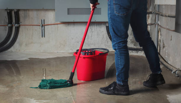 Best Residential water damage restoration  in Mcewen, TN