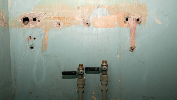 Best Sewage cleanup and water damage restoration  in Mcewen, TN